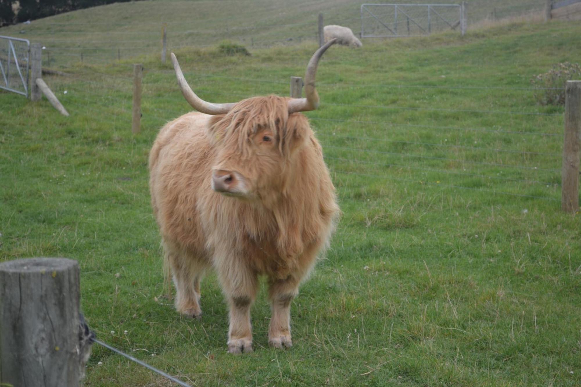Highlands On Homestead Oamaru Exterior foto
