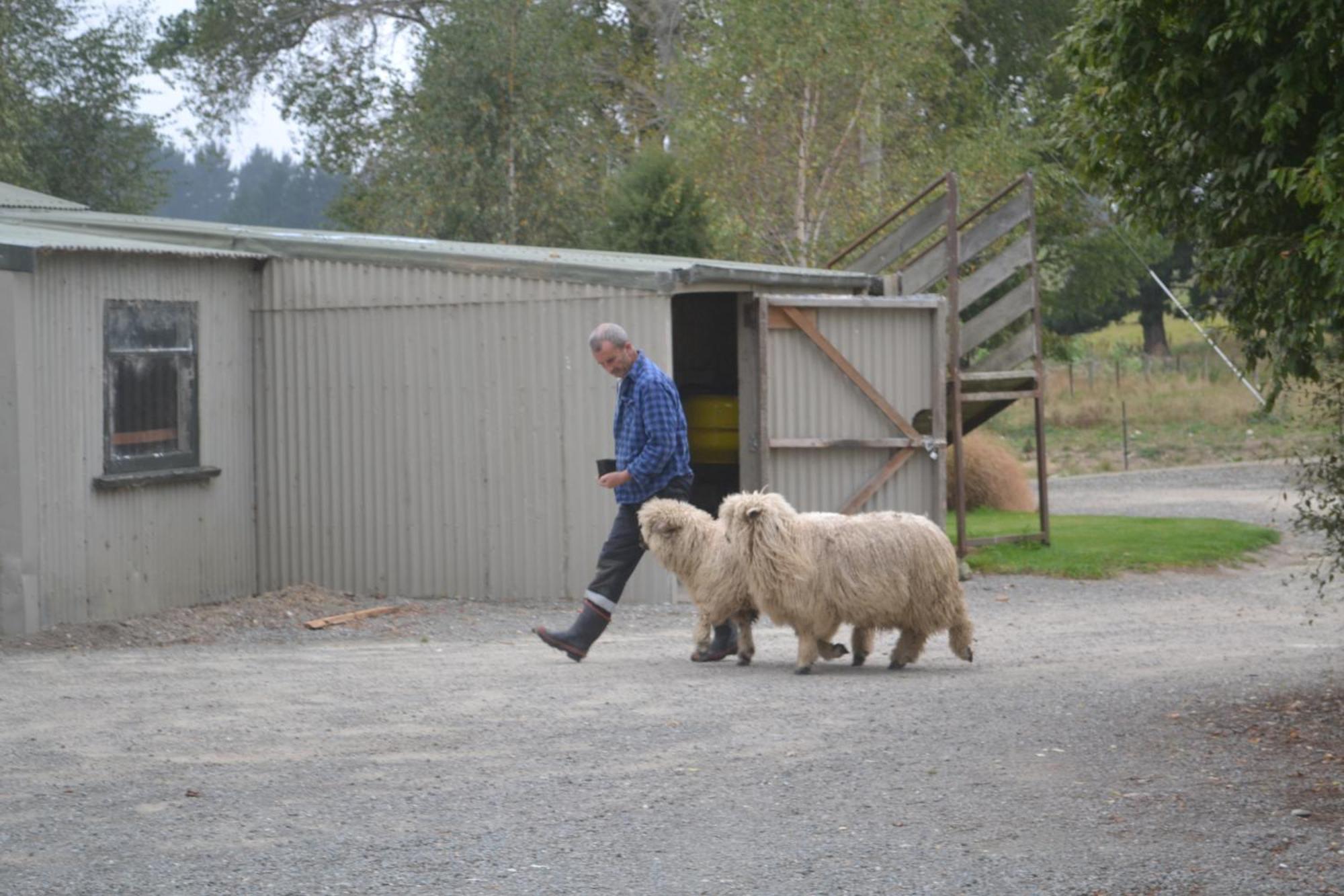 Highlands On Homestead Oamaru Exterior foto