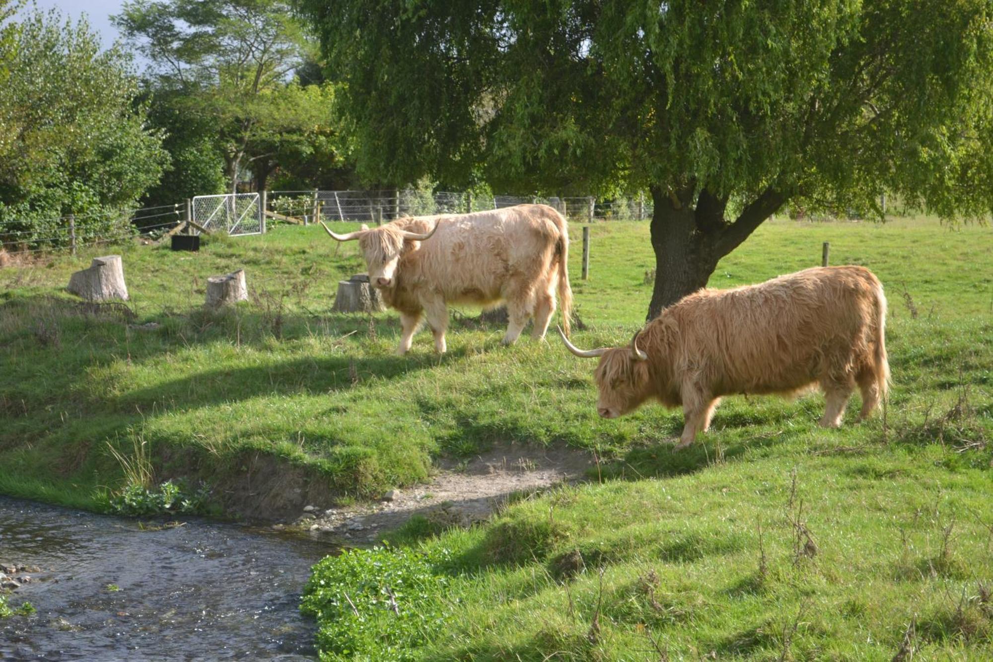 Highlands On Homestead Oamaru Exterior foto
