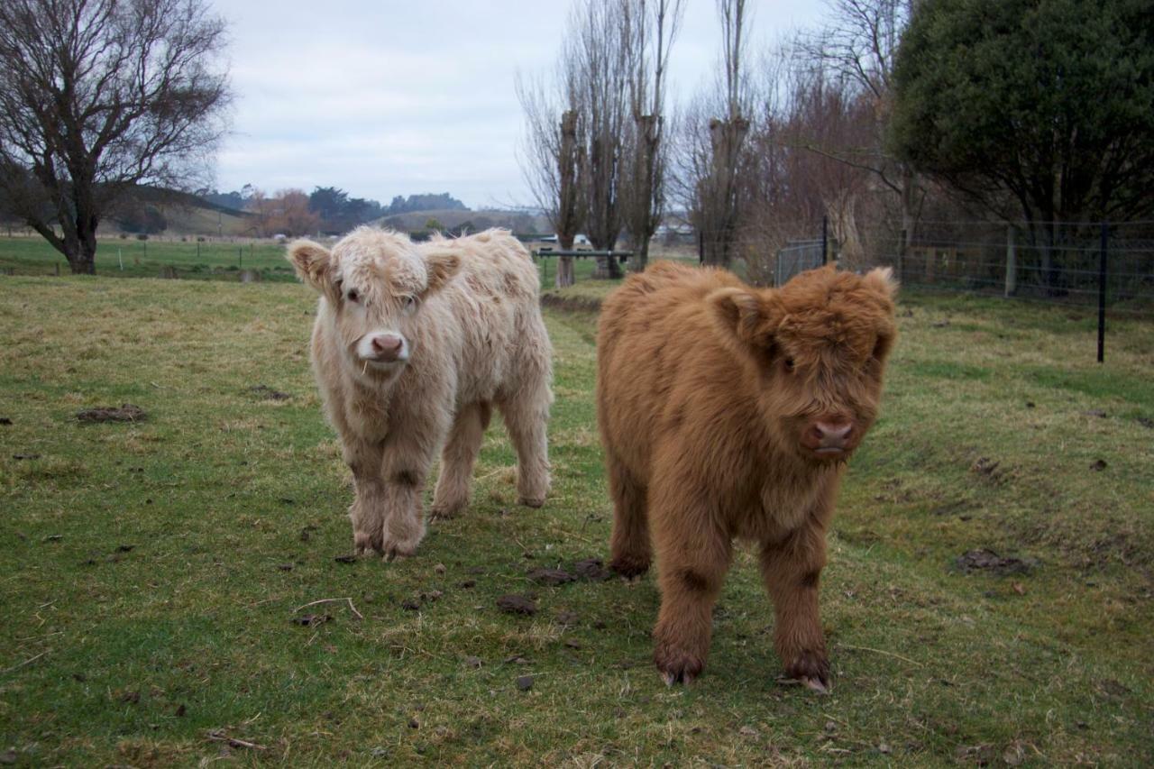 Highlands On Homestead Oamaru Exterior foto